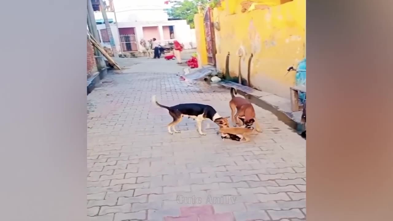 Funny
