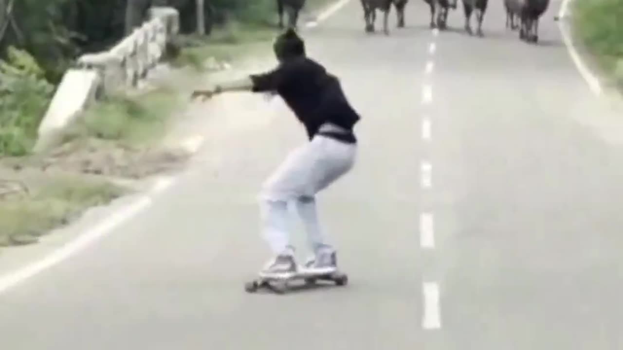 Funny video