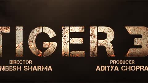 TIGER 3