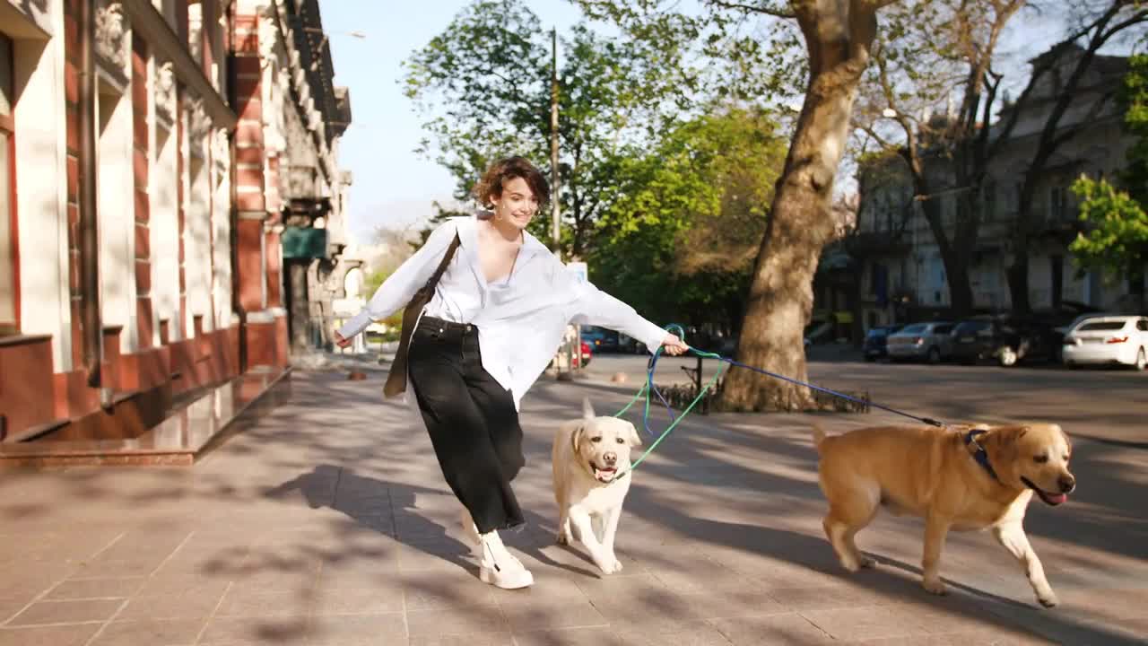 Young stylish hipster girl walking with two retriever dogs in city center park