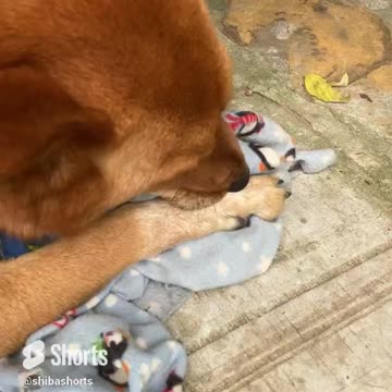 that feeling of security