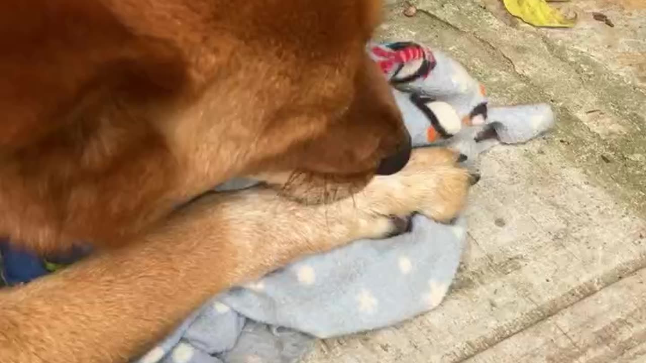 that feeling of security