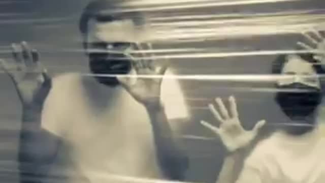 Io non eseguo gli ordini