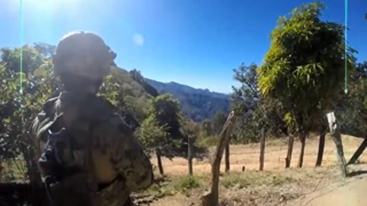 Operación cisne negro, la captura del Chapo Guzmán - Documental