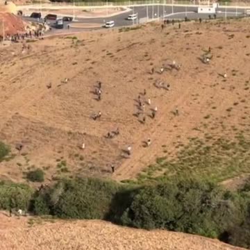 Europe under attack. Fake North African Islamic asylum seekers want to invade