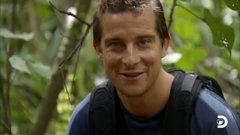 Bear Grylls Reveals His Best Jungle Survival Tips | Man vs. Wild |