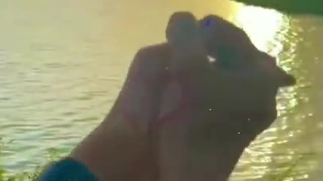 best nice video