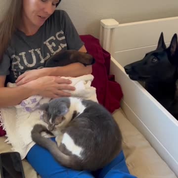 24 Hours After Delivery #puppy #doglife #puppyvideos