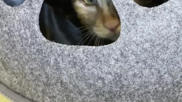 Hey! what are you doing?
