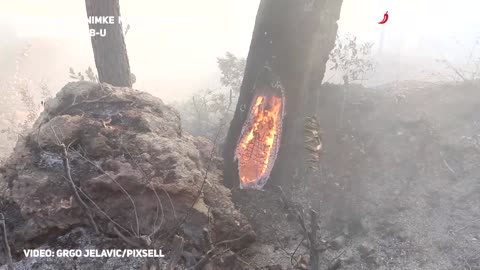 Požar na Pelješcu zahvatio kuće, jaka bura otežava gašenje
