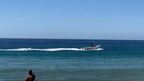 Dolphins chase Malibu Lifeguard