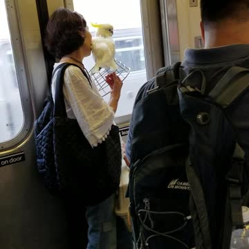 Woman in white shirt carrying white yellow bird