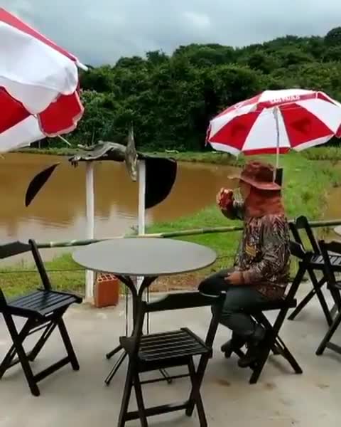 All the best of luck