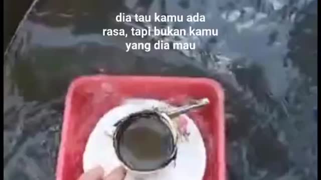 The best coffee