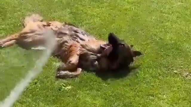 oh, how wonderful this bath