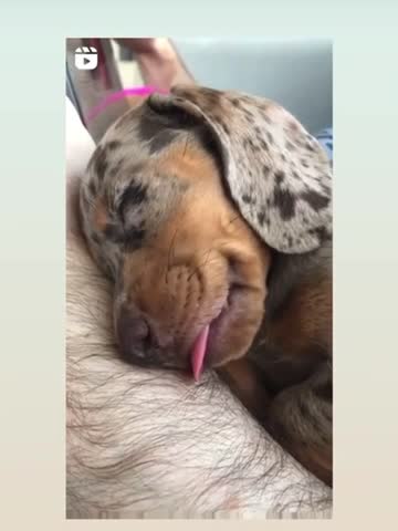 Who’s comforting whome ☺️☺️