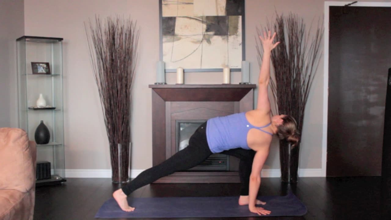 yoga pose - revolved side angle left