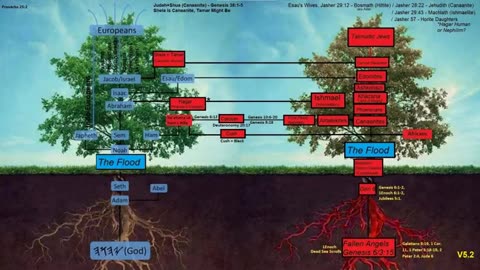 SynaGOGue Of Satan/Shaitan = NOT GENETIC HEBREWS! SATANIC LARPERS / IDENTITY THIEVES! Rev 3:9