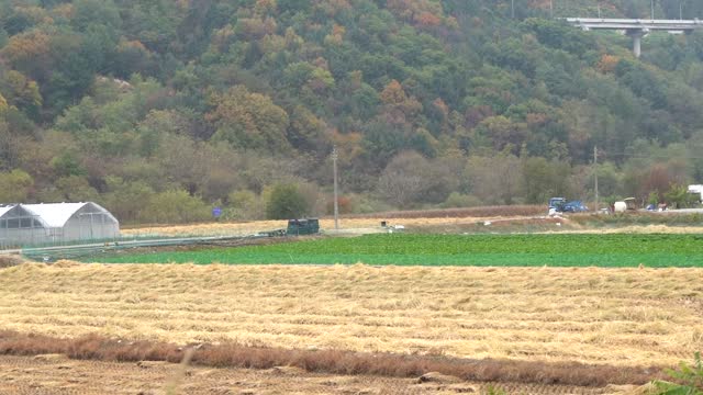 Beautiful autumn scenery of Korea 3