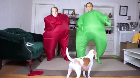 Dog Gets Surprise Dance Party w/Chub Suit Men (Nic Cage) Funny Dog Maymo