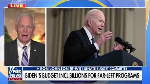 We were right, they were wrong on Hunter Biden_ Sen. Johnson