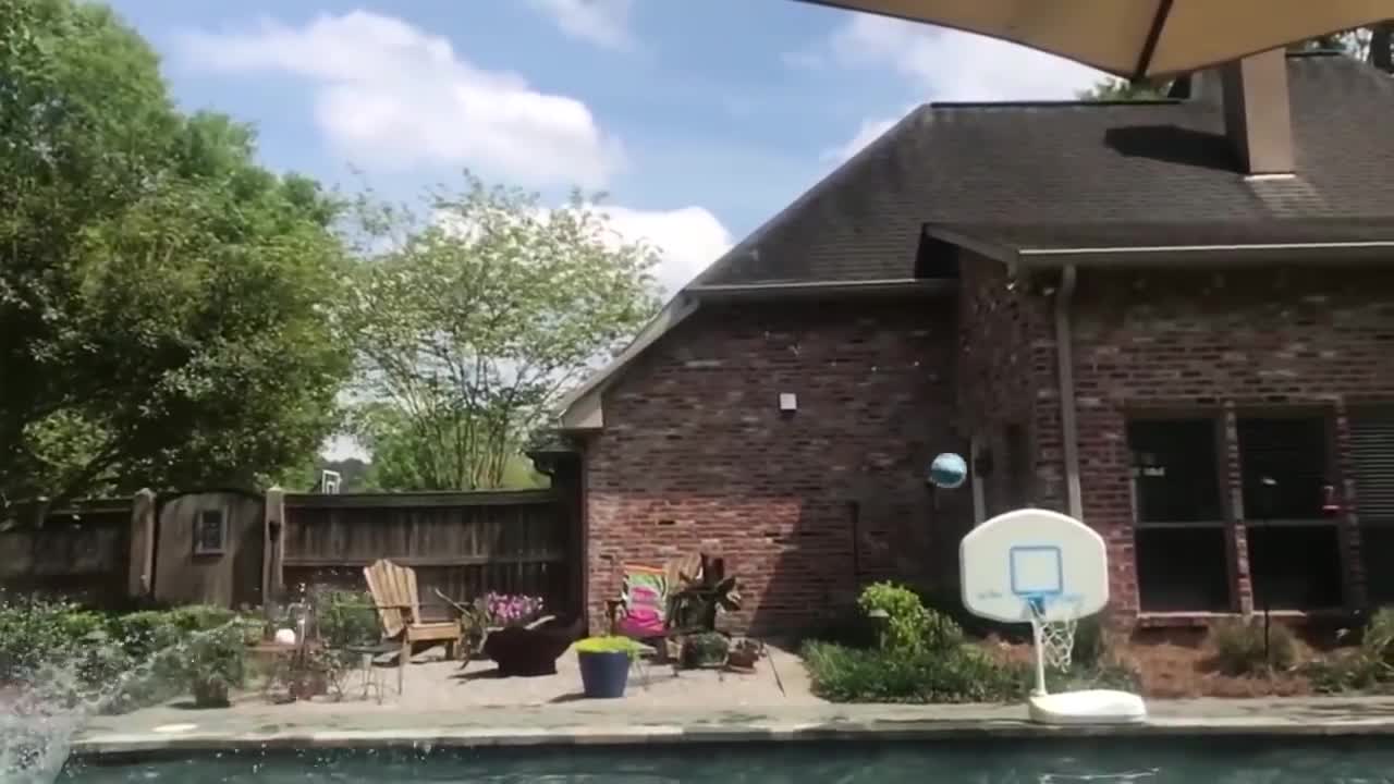 funny, try not to laugh, Babies playing water in the pool