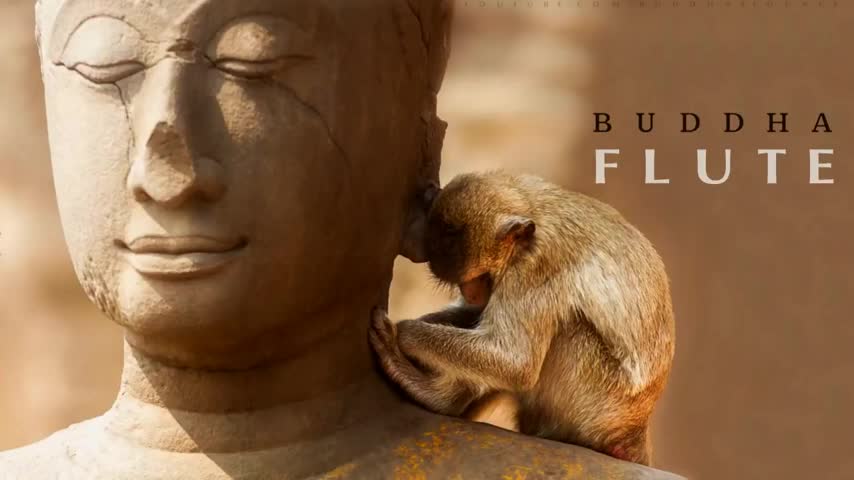 Relaxing Yoga Meditation Music