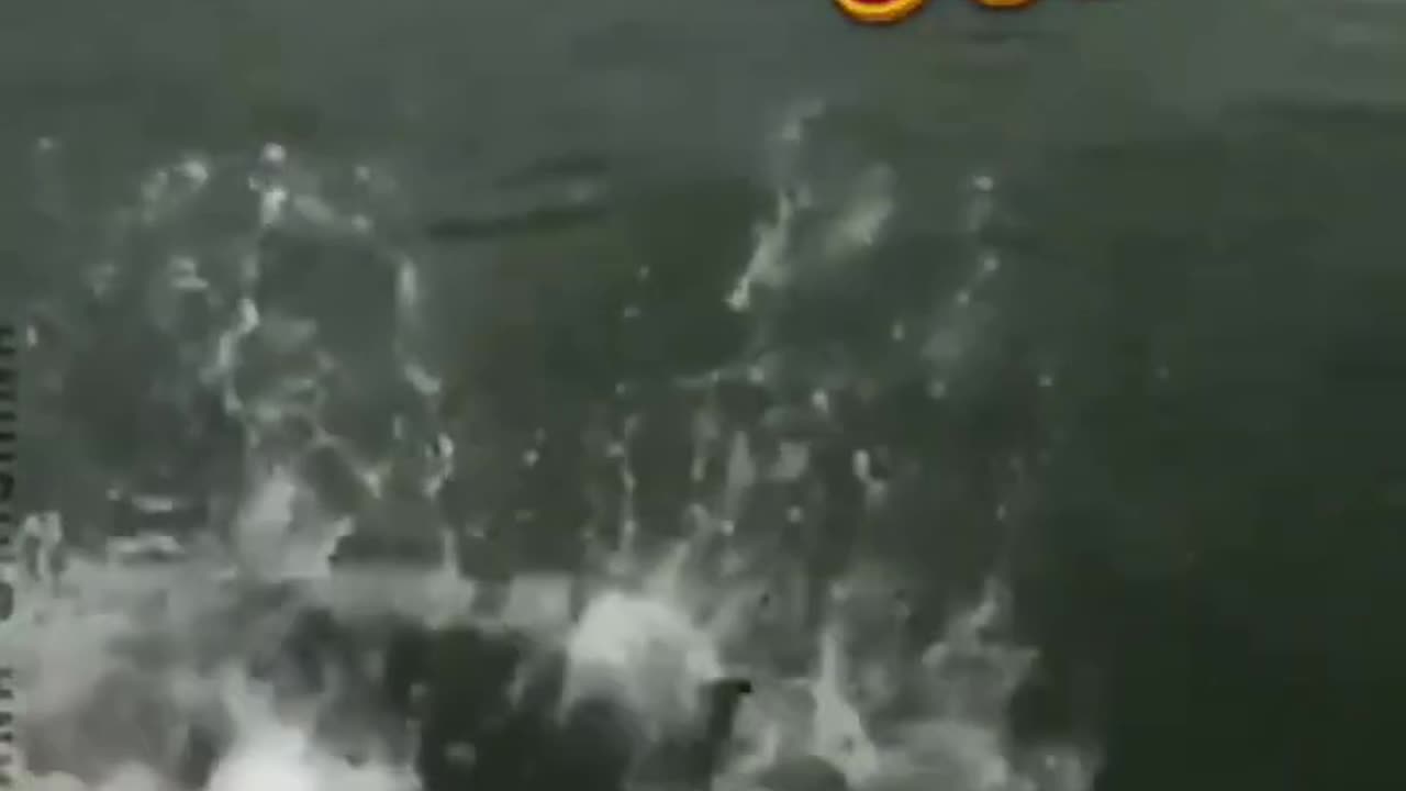The end 😂🤣😂🤣#TRY NOT TO LAUGH#FUNNY#VIRAL
