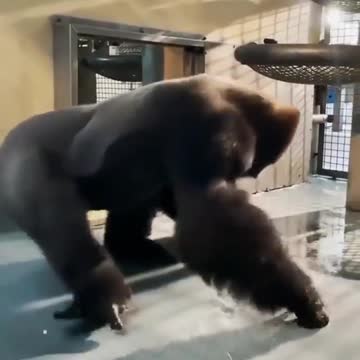 Caption this 👇⁣