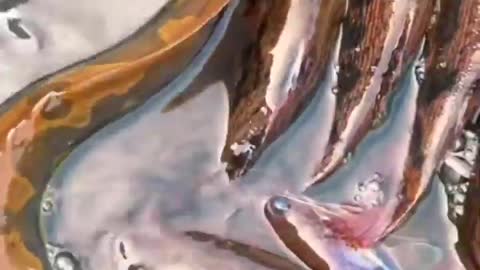 This is a beautiful and charming water-dwelling species