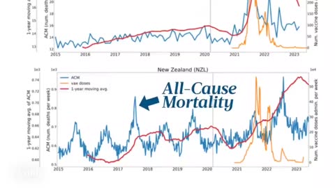 17+ Million Deaths By Vaccine Bio Weapon