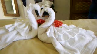 Swan Art by the Maid