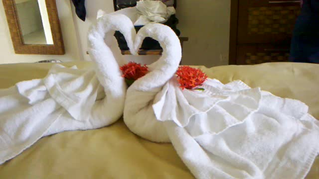 Swan Art by the Maid