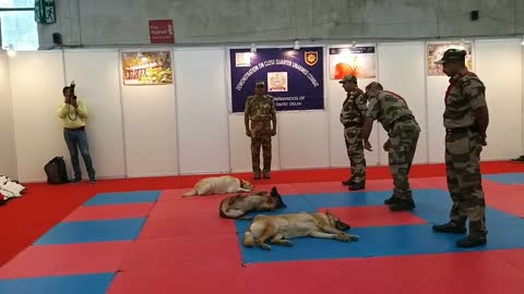 CISF demonstration of Dog Squad