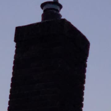 Mockingbird "literally" mocking me! Turn up volume