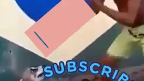 Fanni dog video dance