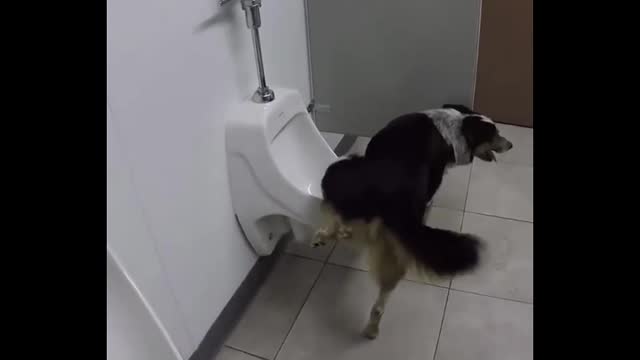 A good baby can go to the bathroom by himself