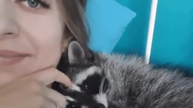 The Snuggle Is Real Between A Girl And A Raccoon