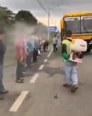 La ciencia de la estupidez en 12 segundos. Covid 19 plandemia Coronavirus