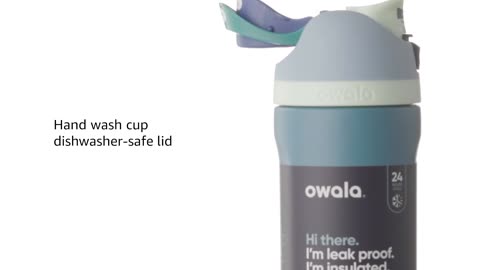 Owala FreeSip Insulated Stainless Steel Water Bottle with Straw