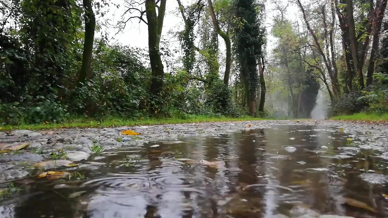 STRESS RELEASE MEDITATION - RAIN SOUNDS