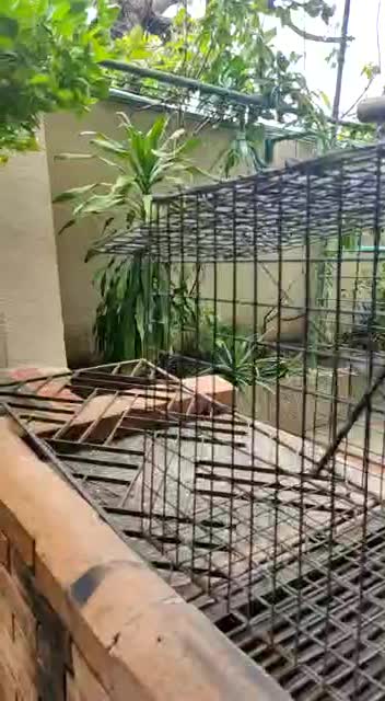 La historia del mono aullador suelto en Manga