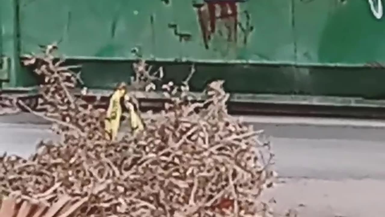 IT'S FAR FROM OVER 😥