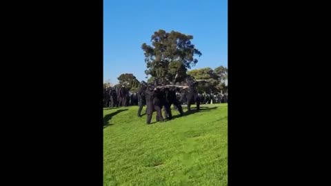 Australian Police Fire Rubber Bullets At People Leaving Protest Site