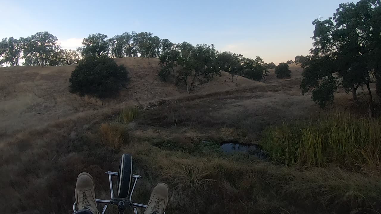 231101Go_PPDEDHRunDownWoods