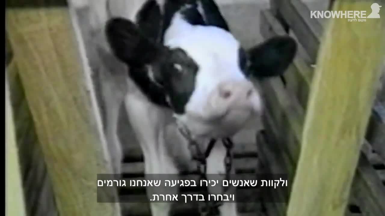 !מאה ואחת סיבות להיות טבעוני