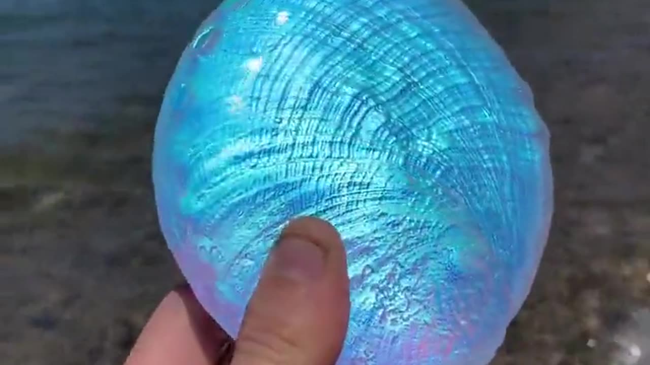 Glass aural abalone shell