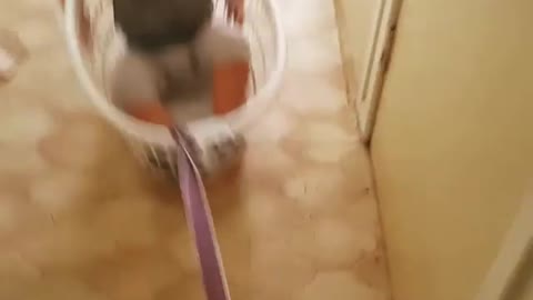 Laundry basket baby pull fail