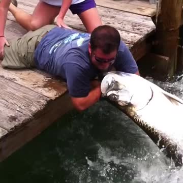 a man bravely uses his arm as bait