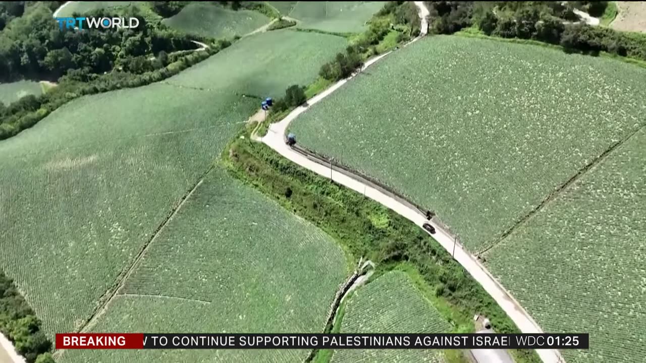 Climate crisis affects kimchi cabbage farming in South Korea